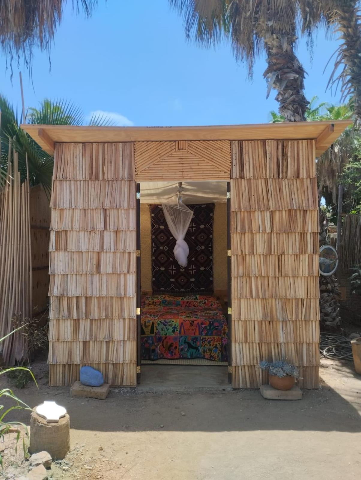 La Sardina Hostel Todos Santos Bagian luar foto