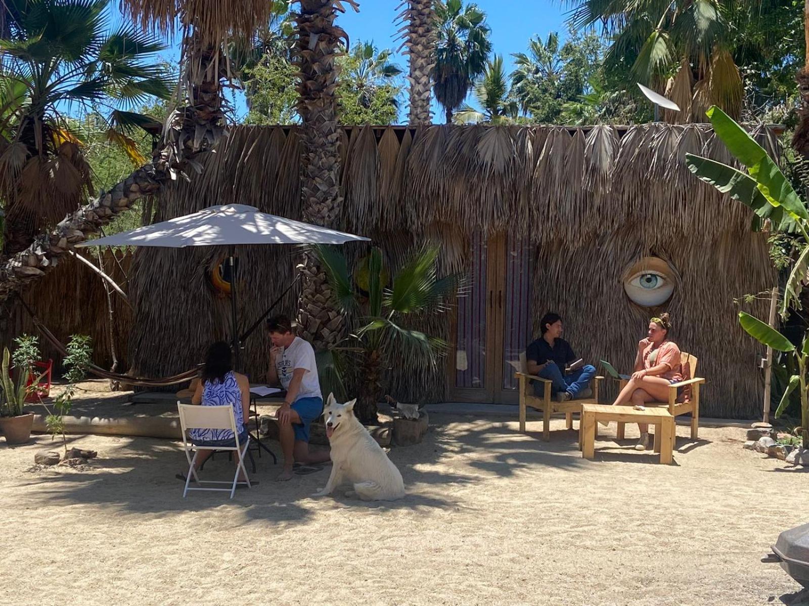 La Sardina Hostel Todos Santos Bagian luar foto